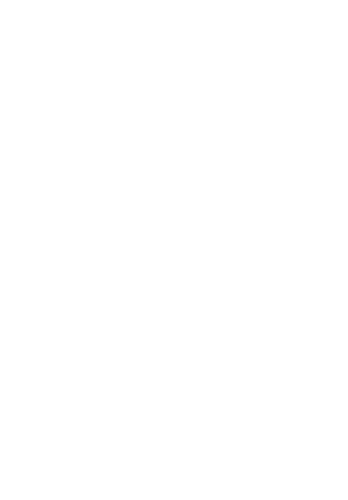 Logo Swiss Color