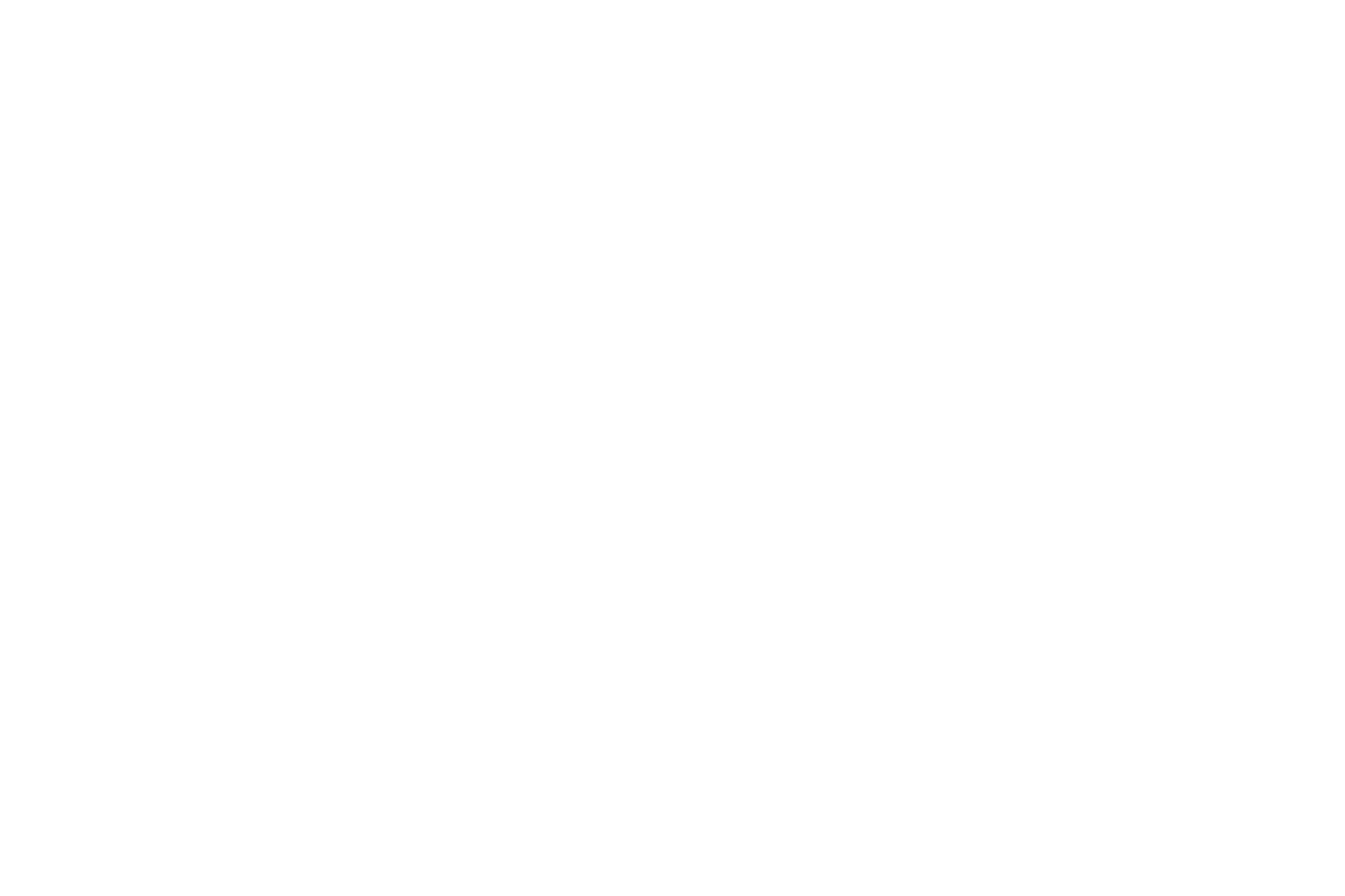 Rebecca Brotschi logo